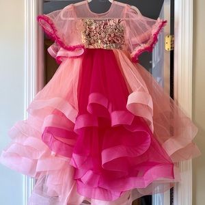 Pink puffy birthday/wedding/formal/pageant/photoshoot dress. Hand embroidered!